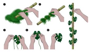 diy moss pole tutorial