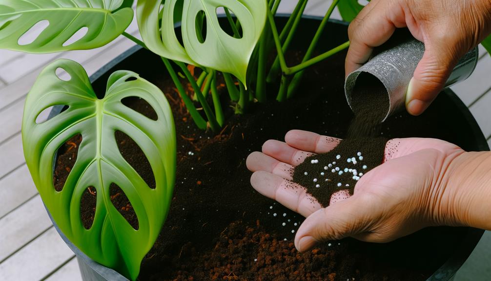 nurturing plants with care