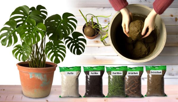 optimal gardening soil blend