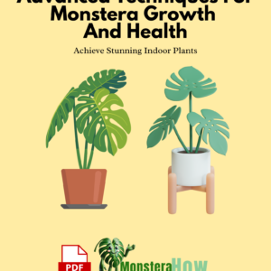 Advanced Techniques For Monstera Growth And Health Achieve Stunning Indoor Plants