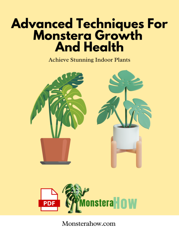 Advanced Techniques For Monstera Growth And Health Achieve Stunning Indoor Plants