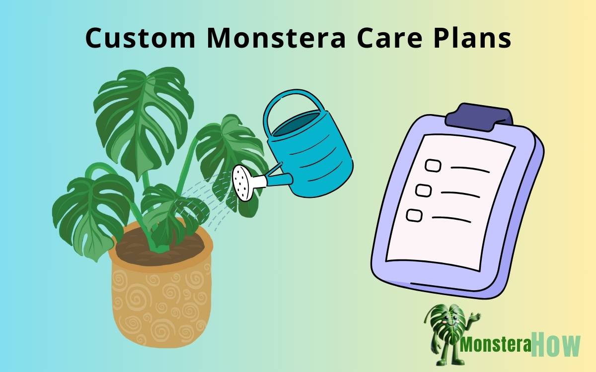 Custom Monstera Care Plans