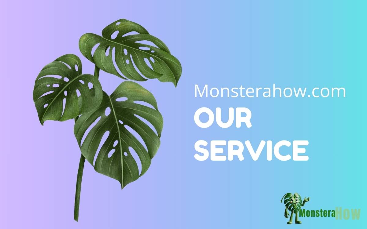 Monsterahow Service